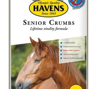 51iTqDXO3oL. AC .jpg