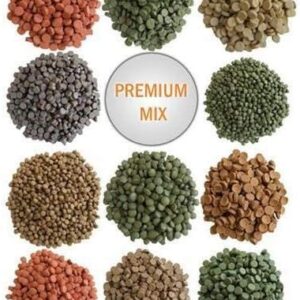 51j97jZg9LL. AC .jpg