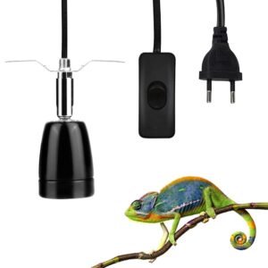 51m4X0yuBKL. SL1000 .jpg