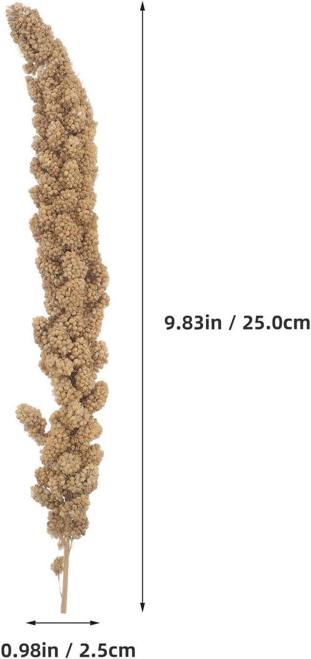 51mcmMzOoL. AC SL1500 .jpg