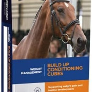 51nBLnfDOLL. AC SL1008 .jpg