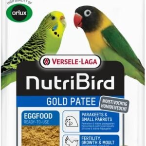 51owaQ1scML. AC SL1080 .jpg