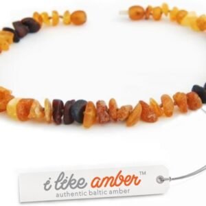 51qMnZMwn3L. AC SL1000 .jpg