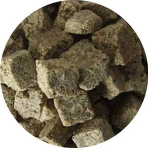 51qovIqC9dL. AC .jpg