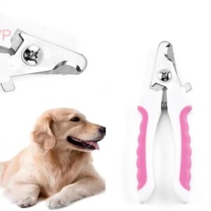 51rartHt9EL. AC .jpg