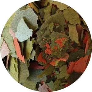 51tDVFyRiFL. AC .jpg