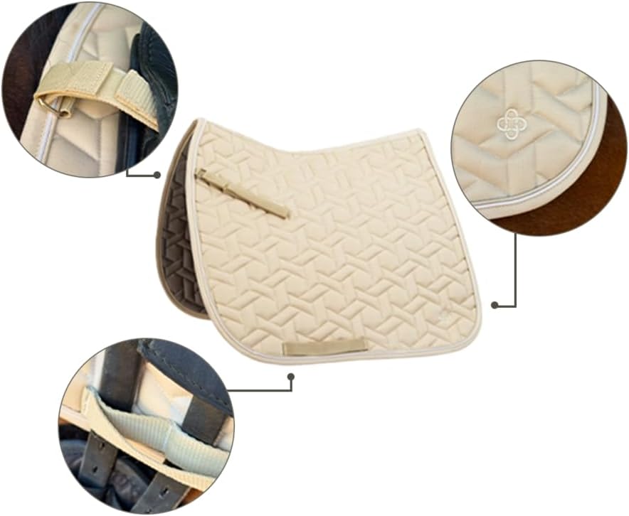 51tEFtg5eBL. AC SL1350 .jpg