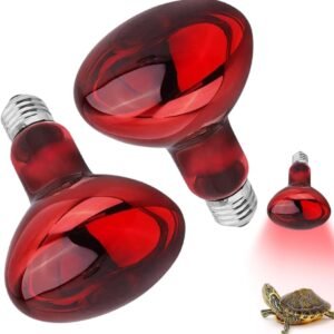 51tW5f 3rYL. AC SL1000 .jpg