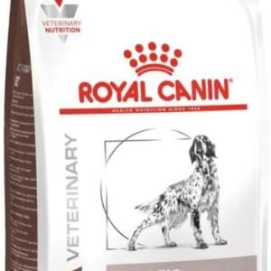 51tWdxdyh L. AC SL1000 .jpg