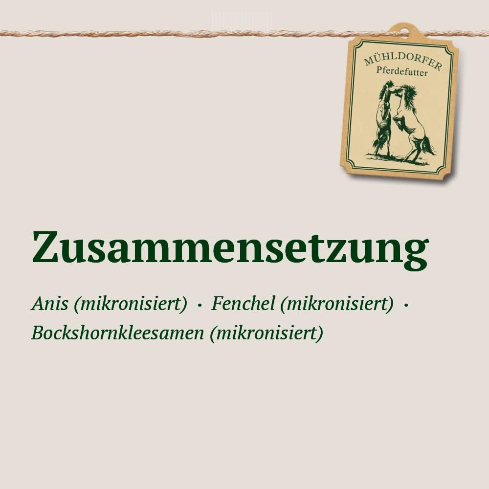 51tWq5RcbTL. AC SL1000 .jpg