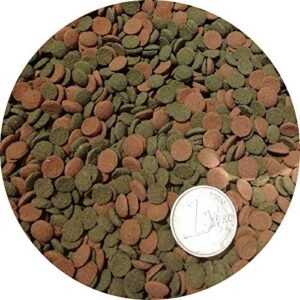 51uen9MKZrL. AC .jpg