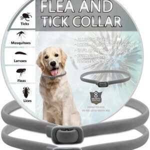 51vIEo8YOAL. AC SL1000 .jpg