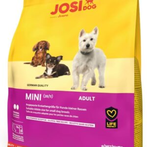 51vhcjzPzrL. AC SL1200 .jpg