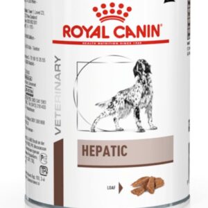 51vpOSsddUL. AC SL1500 .jpg