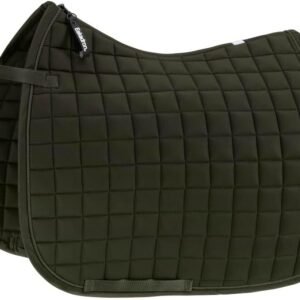 51vpkeiz97L. AC SL1000 .jpg