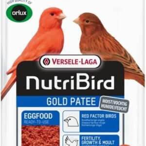 51wJsHpAFWL. AC SL1080 .jpg