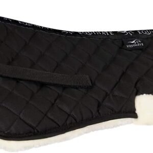 51xcSFDTKuL. AC SL1100 .jpg