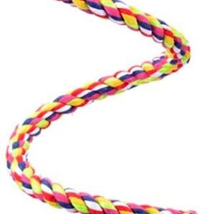 51zG bY qL. AC SL1280 .jpg