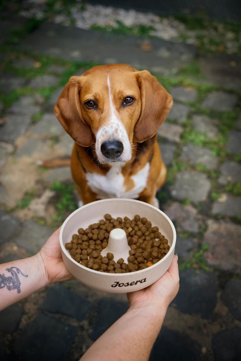 61fx8r8t5L. AC SL1228 .jpg