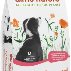 61 CndixlL. AC SL1080 .jpg