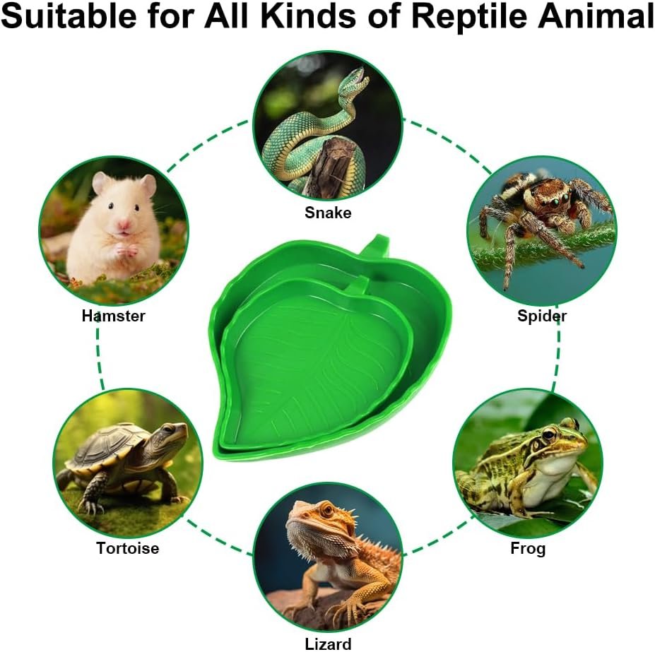 61 GX9lsjL. AC SL1000 .jpg