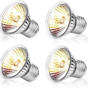 61 jLzHVuL. AC SL1000 .jpg