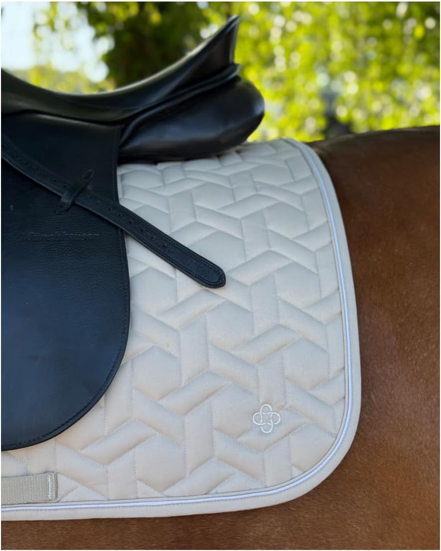 61 kj58BYrL. AC SL1350 .jpg