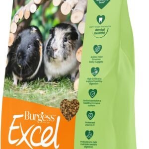 61 s6Kz CXL. AC SL1333 .jpg