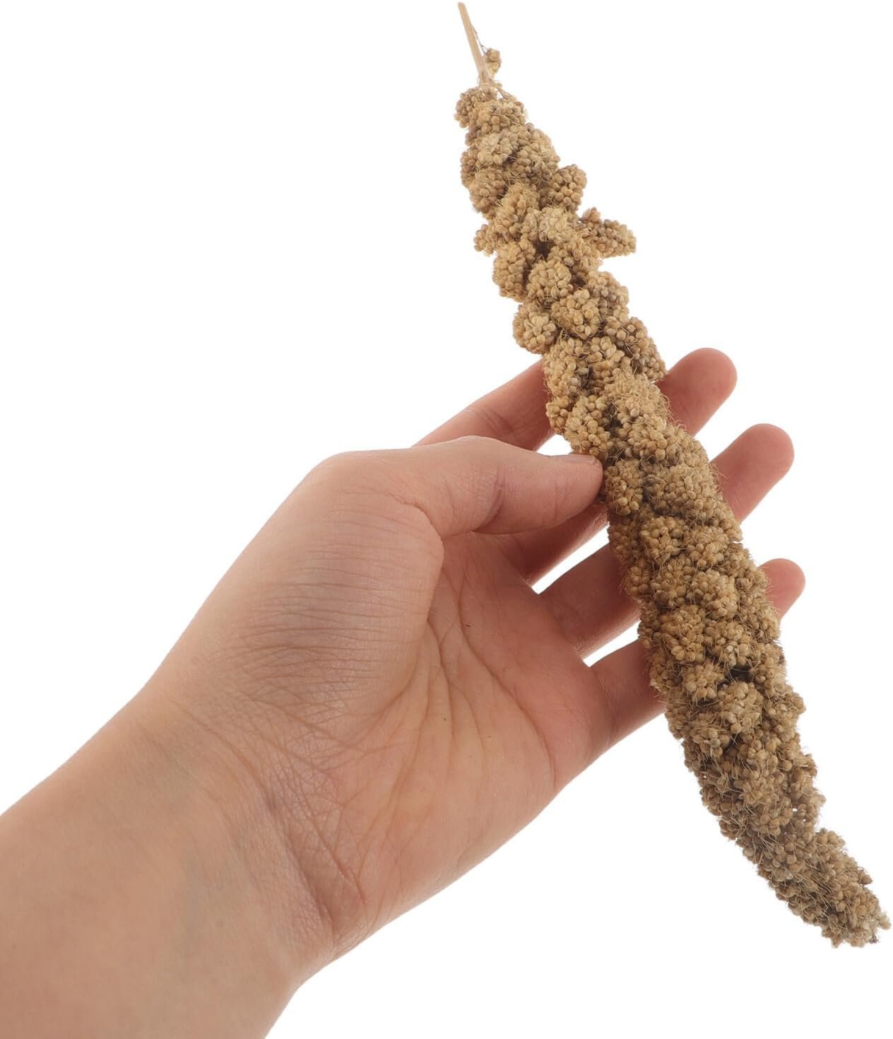 610Cig8gE3L. AC SL1500 .jpg