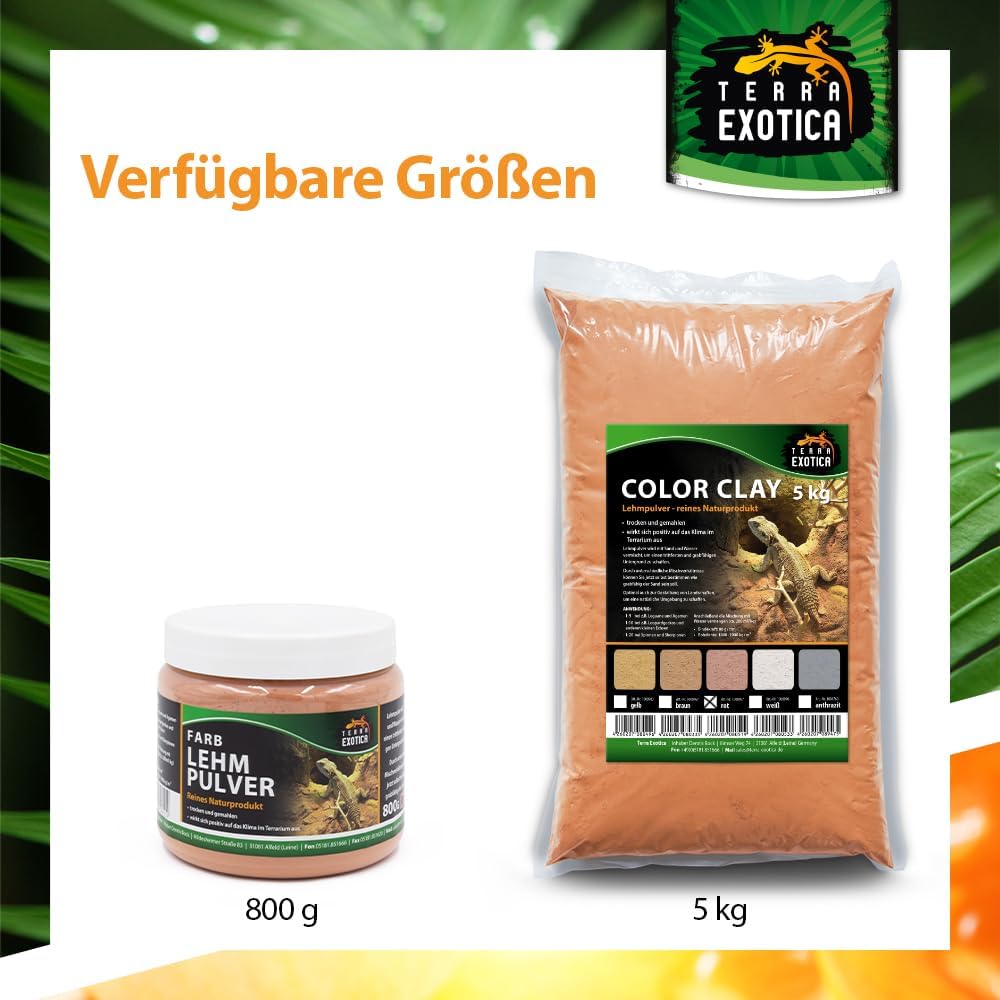 610XTozoGnL. AC SL1000 .jpg