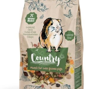 611X8NJ4LcL. AC SL1080 .jpg