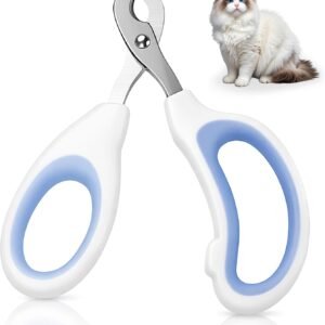 611YhBhbEbL. AC SL1500 .jpg