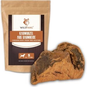 612BWVTm7BL. AC SL1000 .jpg