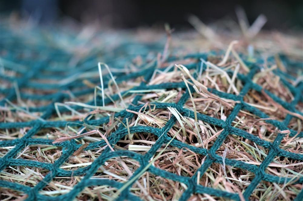 612XO0J3KmL. AC SL1000 .jpg