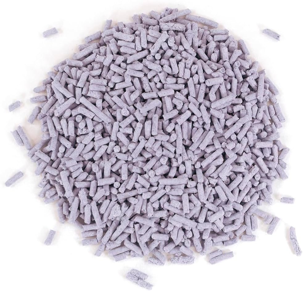 612aEEzJrjL. AC SL1200 .jpg