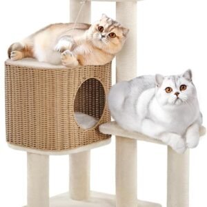 612vbvm0RiL. AC SL1000 .jpg