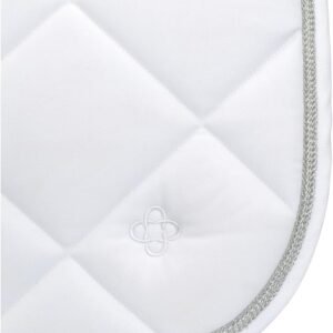 6131v3rpFTL. AC SL1350 .jpg