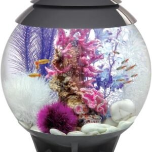 613Fa pBmrL. AC SL1024 .jpg