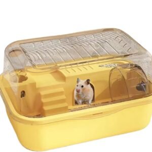 613HFq6b WL. AC SL1500 .jpg