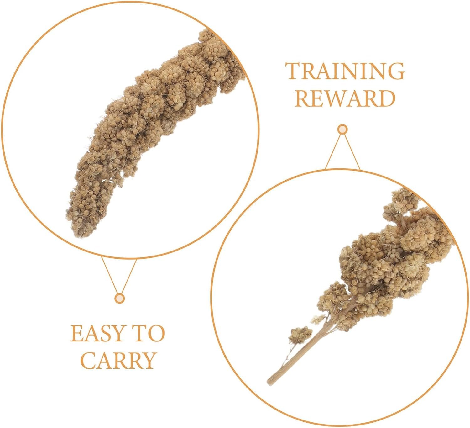 613QwvpFWL. AC SL1500 .jpg