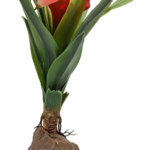 613Xkl9sCrL. AC SL1500 .jpg