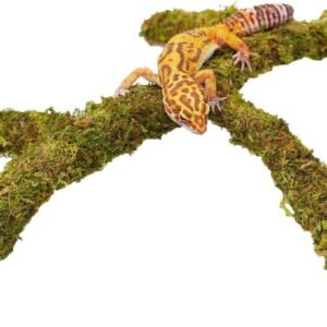 61565iUeJVL. AC SL1500 .jpg