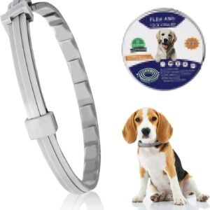 615Gt6Vz1OL. AC SL1452 .jpg