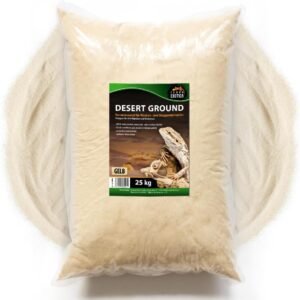 615I19aPWML. AC SL1000 .jpg