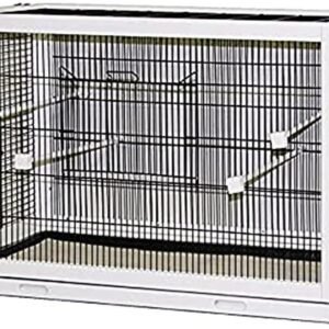 615Np8bdq L. AC SL1000 .jpg