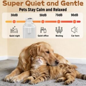 615Oxo9MJdL. AC SL1001 .jpg