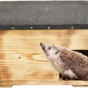 616Do UiNZL. AC .jpg