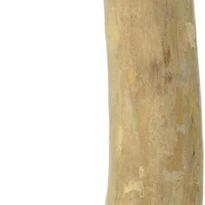 616JRFa3haL. AC SL1500 .jpg