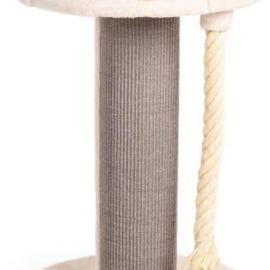 616Sfwf1u8L. AC SL1280 .jpg