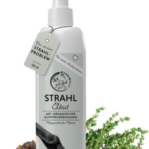 616eu2hPuGL. AC SL1500 .jpg